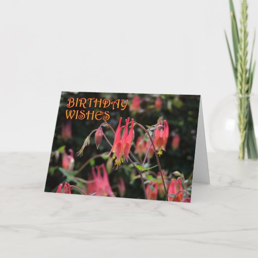 赤い鳩の誕生日 カード (正面)