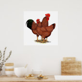 赤い鶏の生産 ポスター (キッチン)