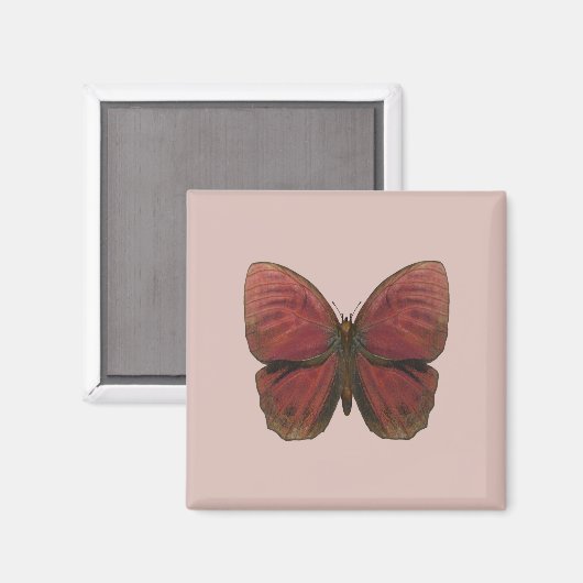 赤い鶏の蝶 マグネット (正面/裏面)