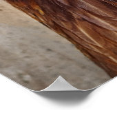 赤い鶏の鶏写真 ポスター (角)