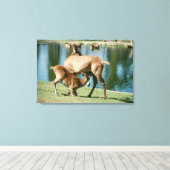 赤い鹿が子孫を看病 キャンバスプリント (インサイチュ (ウッドフロア))