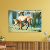 赤い鹿が子孫を看病 キャンバスプリント (インサイチュ (リビング))