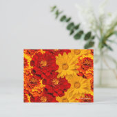 赤い黄色とオレンジのマリゴールドのメドレー ポストカード (スタンド正面)