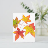 赤い黄色と緑の紅葉 ポストカード (スタンド正面)