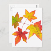 赤い黄色と緑の紅葉 ポストカード (正面/裏面)