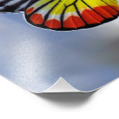 赤い黄色の蝶ジゼベ絵を描ル フォトプリント            (角)