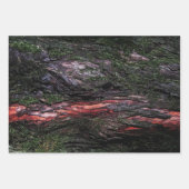 赤い黒い木の苔のような木の樹皮 ラッピングペーパーシート (正面2)