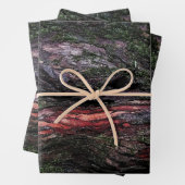 赤い黒い木の苔のような木の樹皮 ラッピングペーパーシート (インサイチュ)