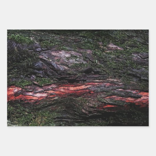 赤い黒い木の苔のような木の樹皮 ラッピングペーパーシート (正面)