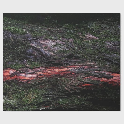 赤い黒い木の苔のような木の樹皮 ラッピングペーパー (フラット)