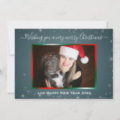 赤い鼻のトナカイのクリスマス写真ルドルフ シーズンカード (裏面)