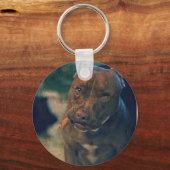 赤い鼻のピットブルが葉巻を噛んでいる キーホルダー (正面)