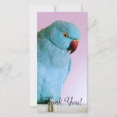 赤い鼻を持つ青いインドのリングのネックのインコ サンキューカード (正面)