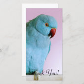 赤い鼻を持つ青いインドのリングのネックのインコ サンキューカード (正面/裏面)