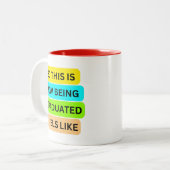 赤い2トーンmag SO_THIS_IS_HOW_BEING_GRADED_FE ツートーンマグカップ (正面左)