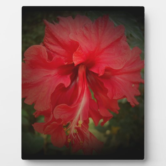 赤い フォトプラーク (正面)