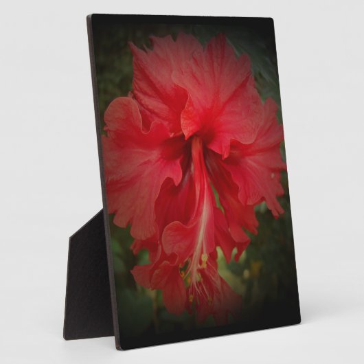 赤い フォトプラーク (側面)