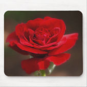 赤い マウスパッド (正面)