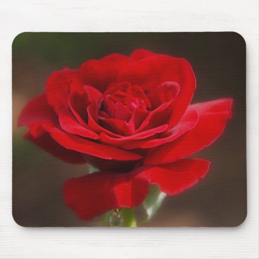 赤い マウスパッド (正面)