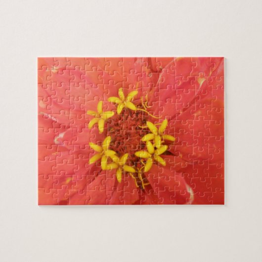 赤い《植物》百日草マクロパズル ジグソーパズル (横)