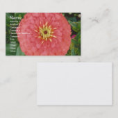 赤い《植物》百日草 名刺 (正面/裏面)