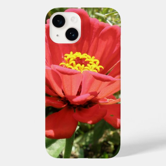 赤い《植物》百日草iphone 4 ケース Case-Mate iPhoneケース (裏面)