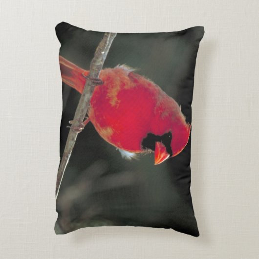 赤い(鳥)ショウジョウコウカンチョウが木の枝に止まる アクセントクッション (裏面(縦))