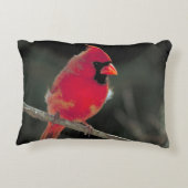 赤い(鳥)ショウジョウコウカンチョウが木の枝に止まる アクセントクッション (裏面)