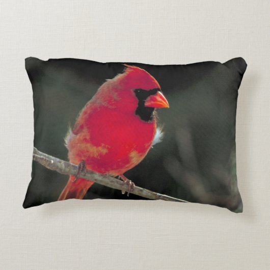 赤い(鳥)ショウジョウコウカンチョウが木の枝に止まる アクセントクッション (裏面)