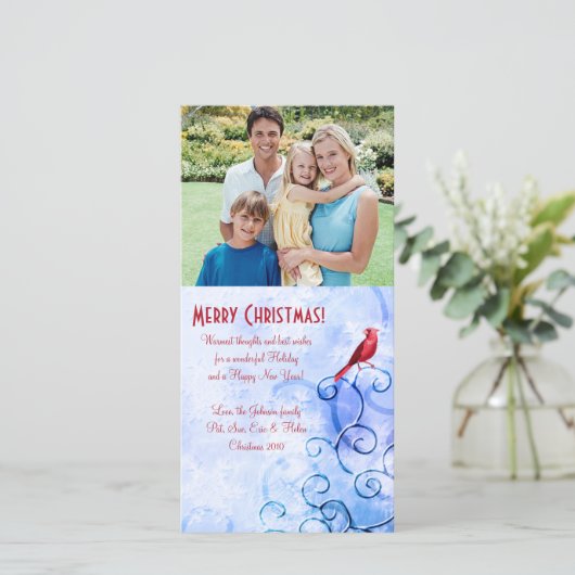 赤い（鳥）ショウジョウコウカンチョウと渦巻き旋回：家族写真クリスマスカード シーズンカード (スタンド正面)