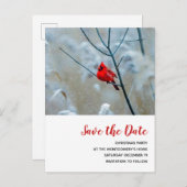 赤い（鳥）ショウジョウコウカンチョウの冬のクリスマスの保存日付 インビテーションポストカード (正面/裏面)