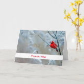 赤い(鳥)ショウジョウコウカンチョウの冬の自然写真ありがとう カード (黄色い花)