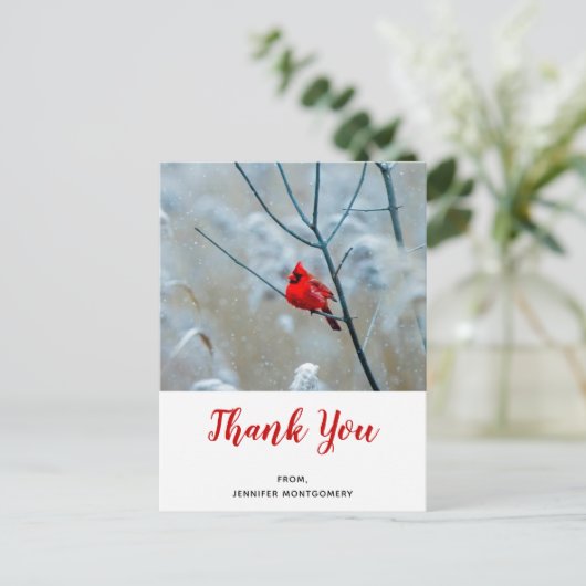 赤い（鳥）ショウジョウコウカンチョウの冬の自然写真ありがとう ポストカード (スタンド正面)