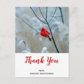 赤い(鳥)ショウジョウコウカンチョウの冬の自然写真ありがとう ポストカード (正面)