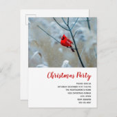 赤い（鳥）ショウジョウコウカンチョウの冬の自然写真クリスマス インビテーションポストカード (正面/裏面)