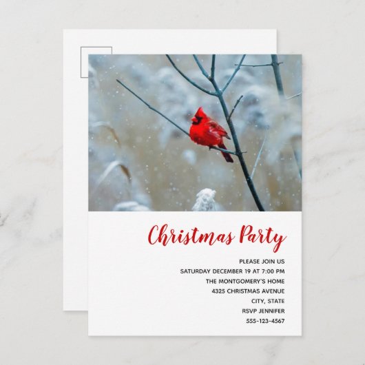 赤い（鳥）ショウジョウコウカンチョウの冬の自然写真クリスマス インビテーションポストカード (正面/裏面)