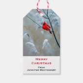 赤い(鳥)ショウジョウコウカンチョウの冬の自然写真クリスマス ギフトタグ (正面)