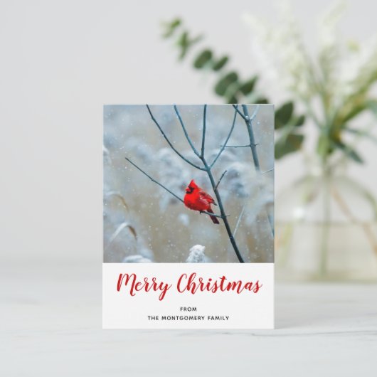 赤い（鳥）ショウジョウコウカンチョウの冬の自然写真クリスマス シーズンポストカード (スタンド正面)