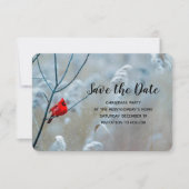 赤い（鳥）ショウジョウコウカンチョウの冬の自然写真クリスマス セーブザデート (正面)