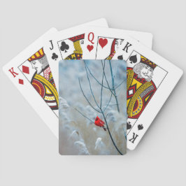 赤い（鳥）ショウジョウコウカンチョウの冬の自然写真クリスマス トランプ