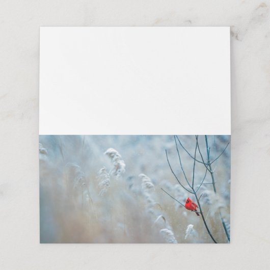 赤い（鳥）ショウジョウコウカンチョウの冬の自然写真クリスマス プレイスカード (外部開封)