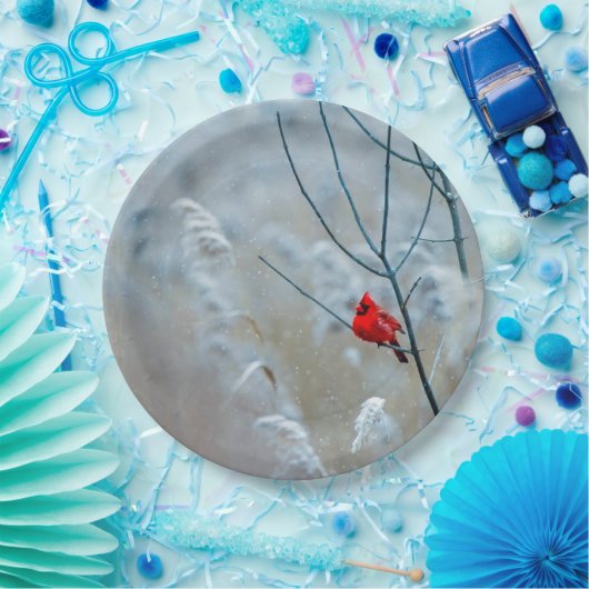 赤い（鳥）ショウジョウコウカンチョウの冬の自然写真クリスマス ペーパープレート (パーティー)