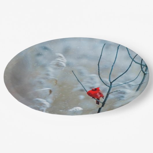 赤い（鳥）ショウジョウコウカンチョウの冬の自然写真クリスマス ペーパープレート (アングル)