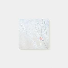 赤い（鳥）ショウジョウコウカンチョウの冬の自然写真クリスマス ポストイット