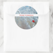 赤い(鳥)ショウジョウコウカンチョウの冬の自然写真クリスマス ラウンドシール (バッグ)