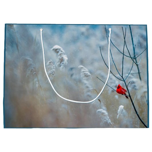 赤い（鳥）ショウジョウコウカンチョウの冬の自然写真クリスマス ラージペーパーバッグ (裏面)