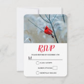 赤い（鳥）ショウジョウコウカンチョウの冬の自然写真クリスマス 出欠カード (正面)
