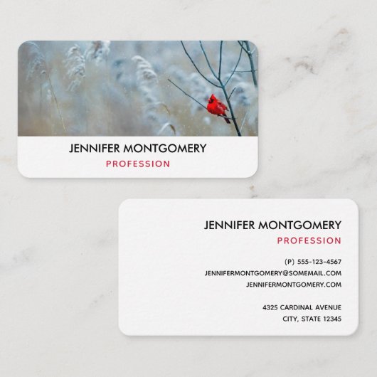 赤い(鳥)ショウジョウコウカンチョウの冬の自然写真クリスマス 名刺 (正面/裏面)