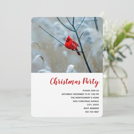 赤い（鳥）ショウジョウコウカンチョウの冬の自然写真クリスマス 招待状 (スタンド正面)