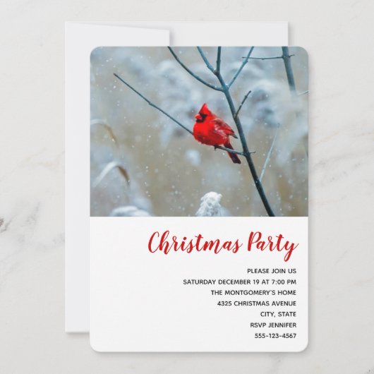 赤い（鳥）ショウジョウコウカンチョウの冬の自然写真クリスマス 招待状 (正面)